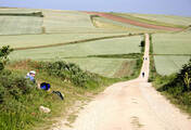 Pilgrims on Il Camino to Santiago