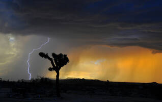Lightning in the desert
